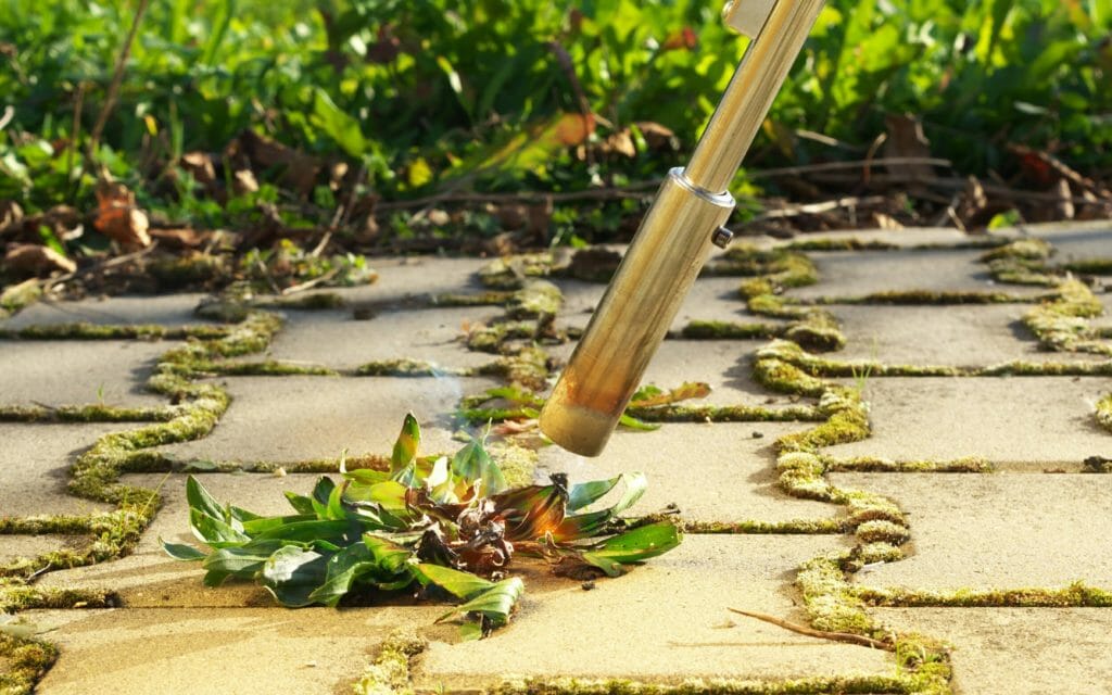 Unkrautbrenner mit Gas verbrennt Blätter auf dem Boden